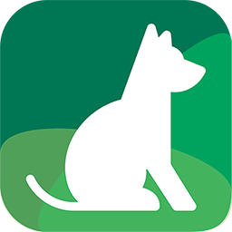 Smart Watch Dog Collar